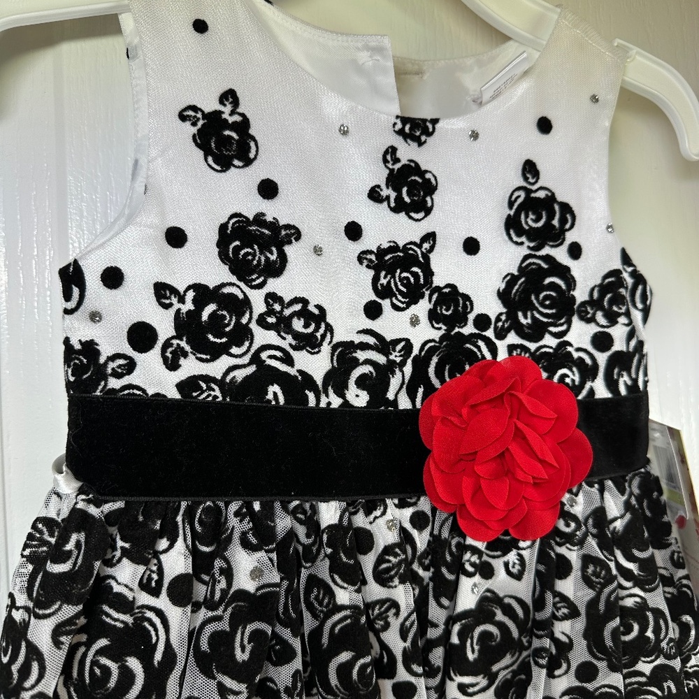 Sweet Heart Rose Formal Dress